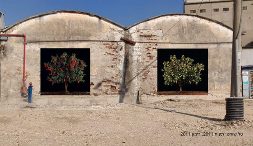 1 מחוץ לזמן - טל שוחט - תפוח 2011 - רימון 2011.jpeg