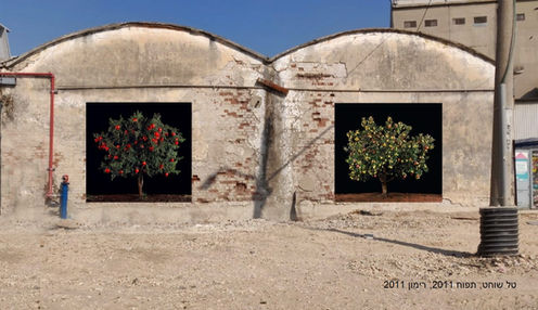 1 מחוץ לזמן - טל שוחט - תפוח 2011 - רימון 2011.jpeg