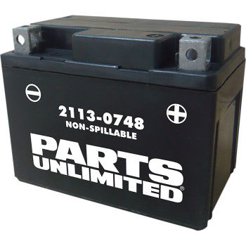 AGM Battery - YTX4L