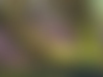 Synchronize for Success