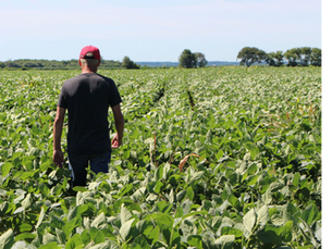 Survey for Farmers