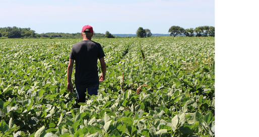 Survey for Farmers