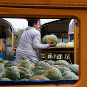Farming on a maybe: Delaware growers struggle to turn harvests into sales