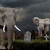 Elephant's Graveyard