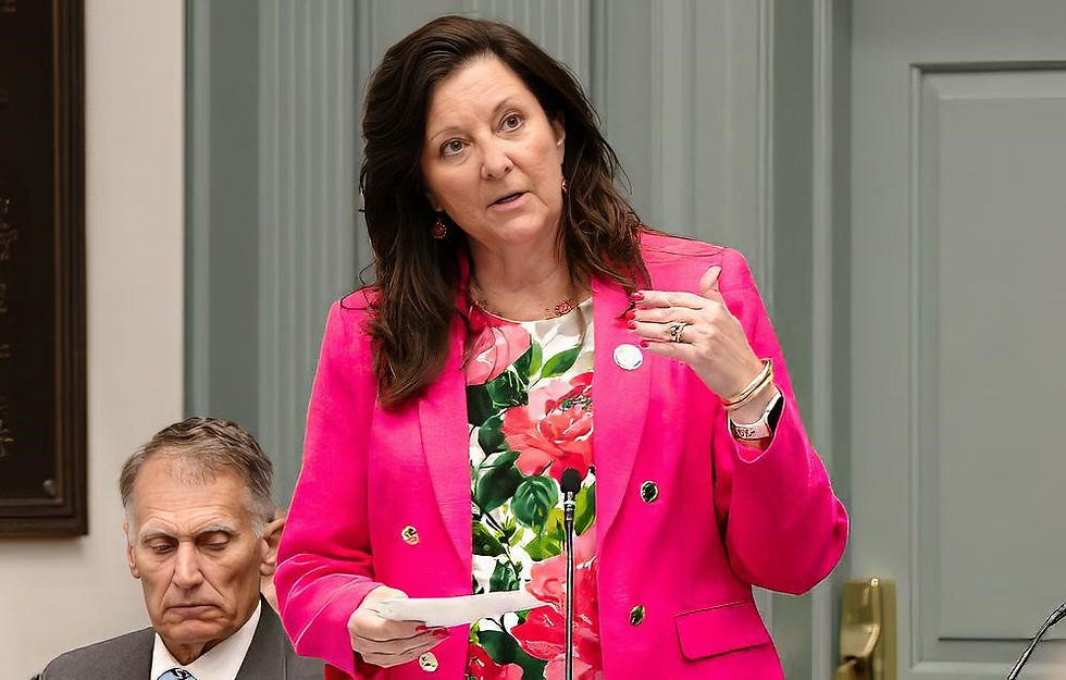 State Rep. Valerie Jones Giltner (R-Georgetown) discusses SB 249 during the House floor debate in June.