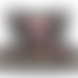 APPLE SCRAPPLE FESTIVAL