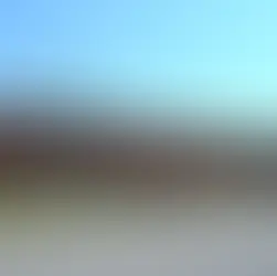 Bryan Allen Stevenson School