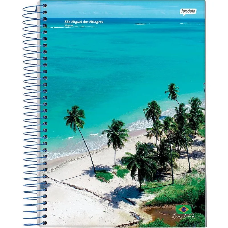 CADERNO UNIV 10M 200FLS BRASILIDADE - JANDAIA