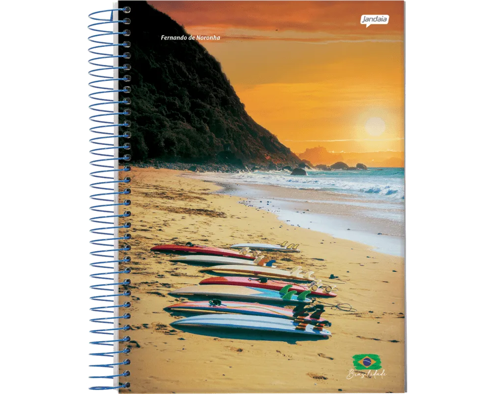 CADERNO UNIV 10M 200FLS BRASILIDADE - JANDAIA