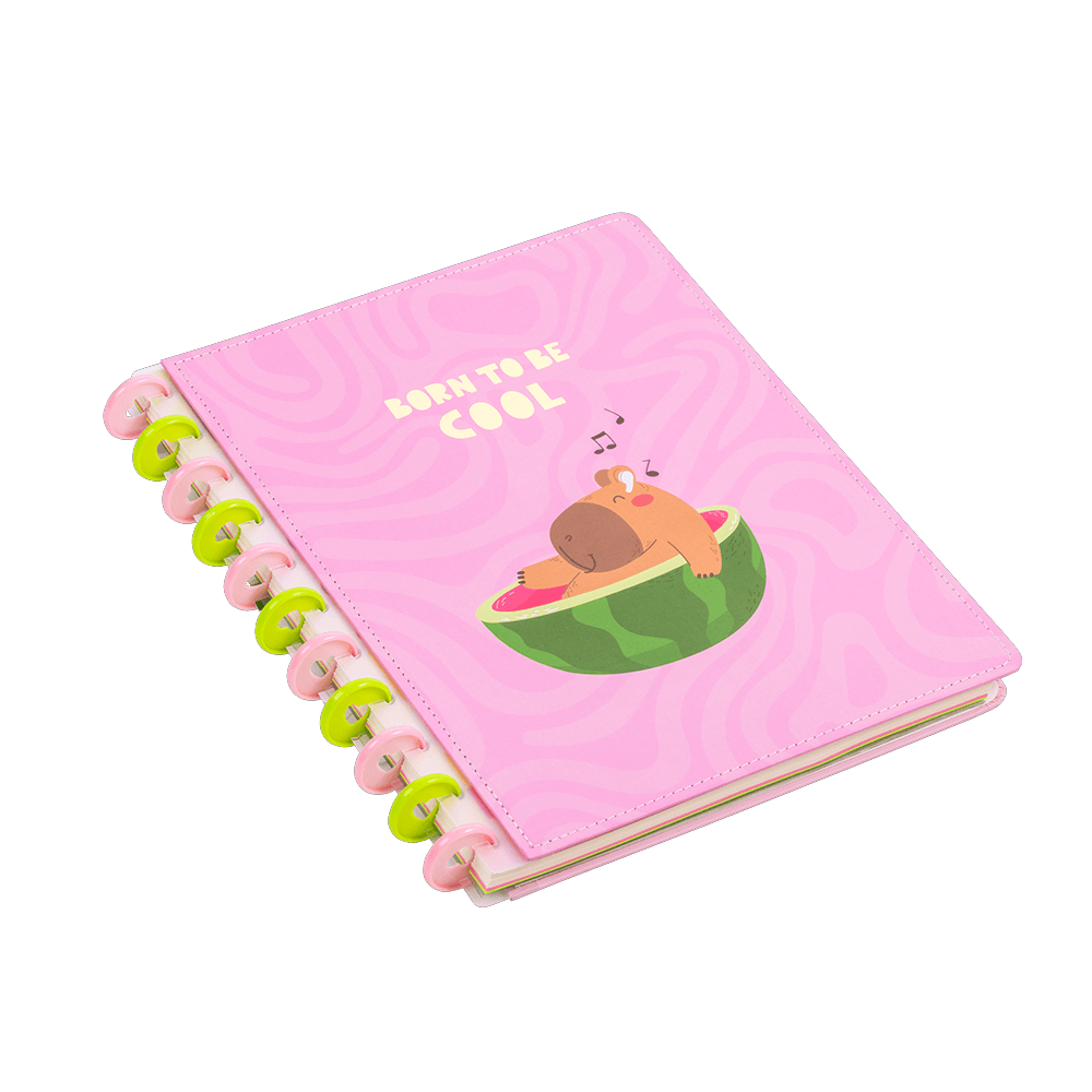 CADERNO DISCO CAPIVARA - BRW