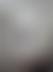 Forro e Decorados em Paredes.