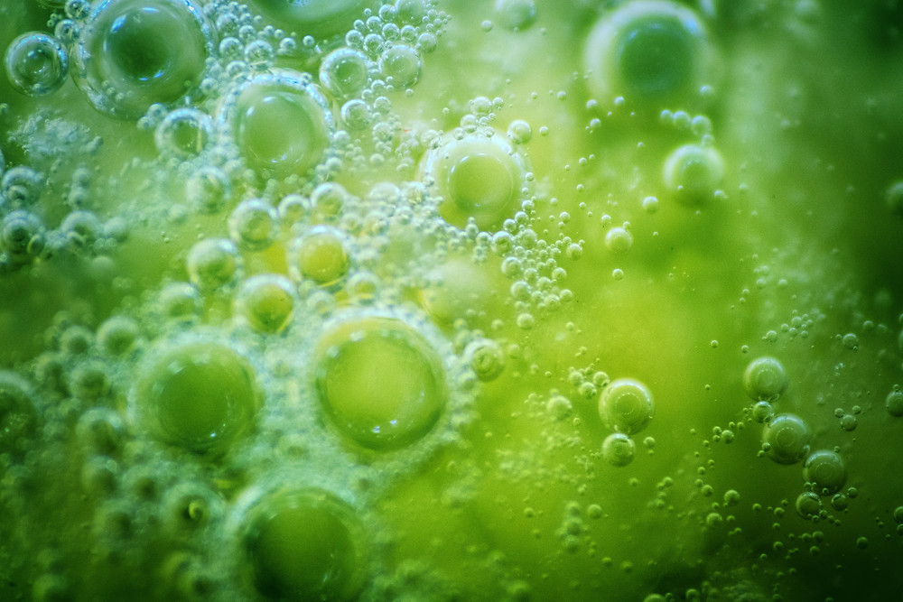 Primordial soup