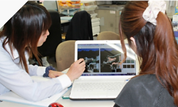 anshin_img02.png