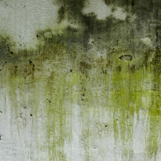 外壁塗装三井ホーム