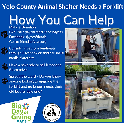 How You Can Help (2).png