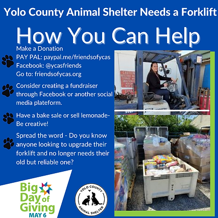 How You Can Help (2).png