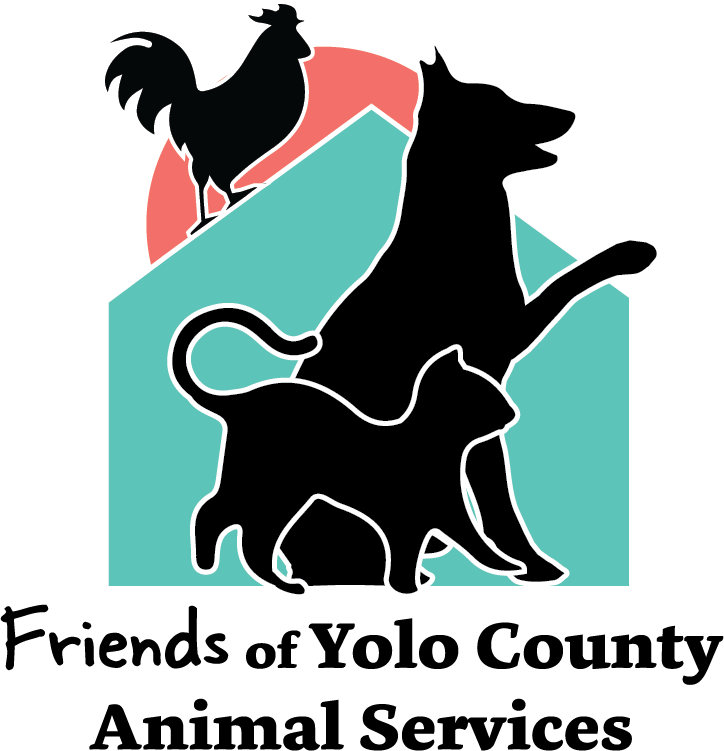 Lost Found Pets Friends Of YCAS Yolo County lost-found-pets-friends-of-ycas-yolo-county