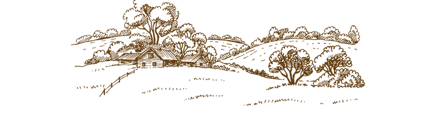 עיצוב ללא שם (63).png