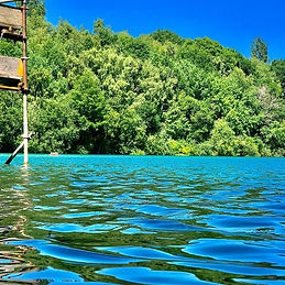 Divers Cove Ltd