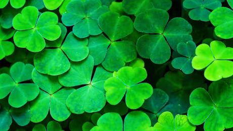 Origin of St. Patrick's Day