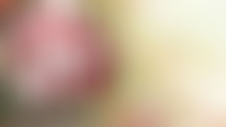 Holiday Shopping Trends