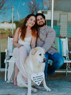 Joshua Tree Engagement Photos