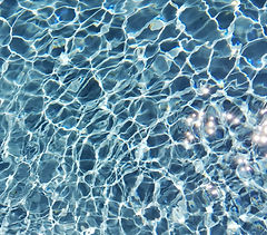 WhatsApp Image 2024-06-11 at 8.18_edited.jpg