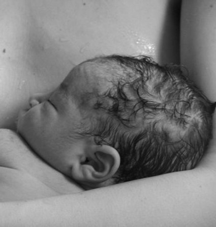 WhatsApp Image 2025-03-31 at 9.30.28 PM.jpeg