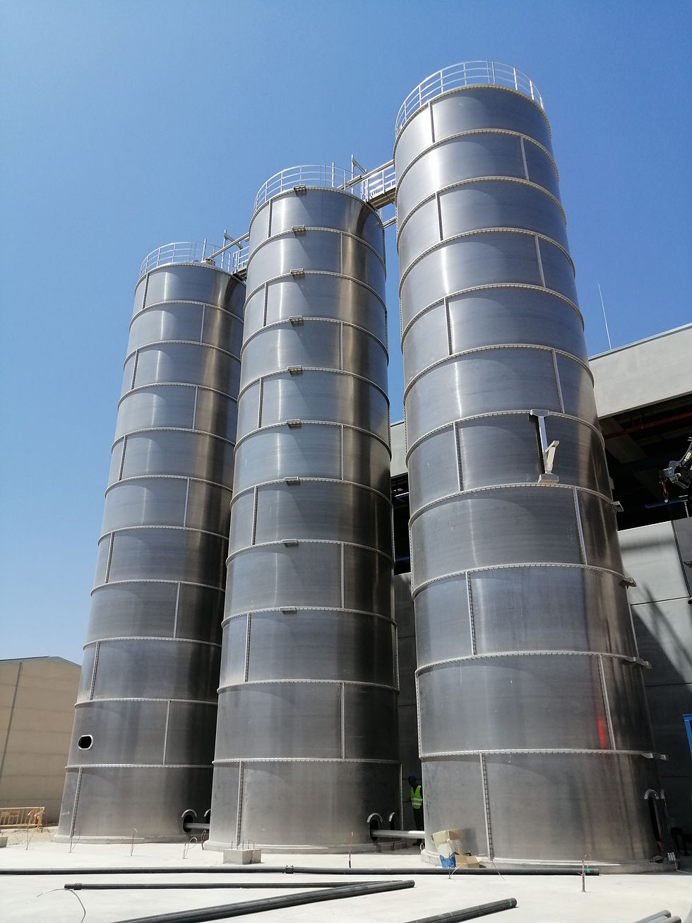 IMG_20220726_125410 (002).jpg