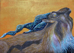 ”歳月”(種名:マーコール)