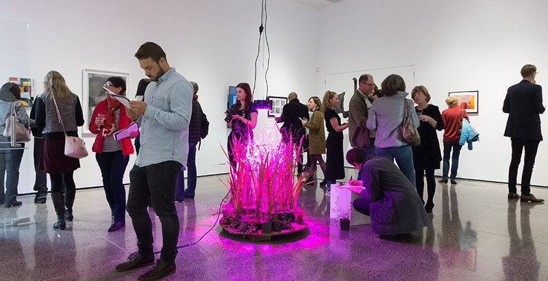 Offerings, installation shot. Photo courtesy of Sait Akerman, Arts Diary NZ.