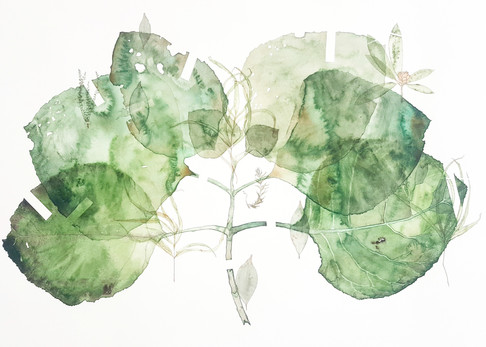 Environ #5 (2017) Watercolour on paper, 1200 x 850mm.