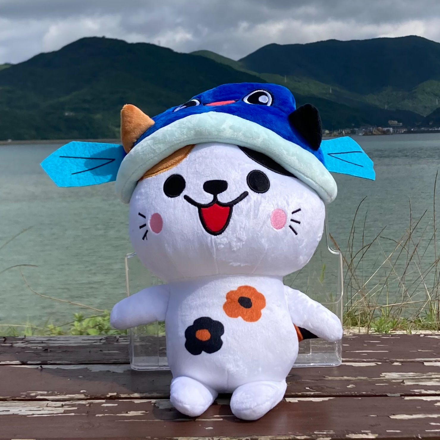 あミ~ごぬいぐるみ大