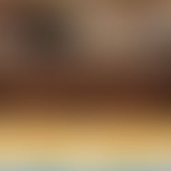 PISTOLETAZO DE SALIDA A LOS 50 AÑOS DEL CLUB