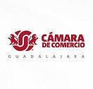 abogado jalisco