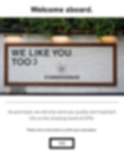 Email Example.jpeg