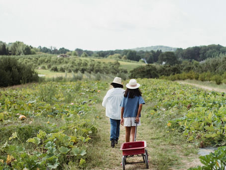 Sustainability and Ethical Consumption on Snacking Trends ♻️