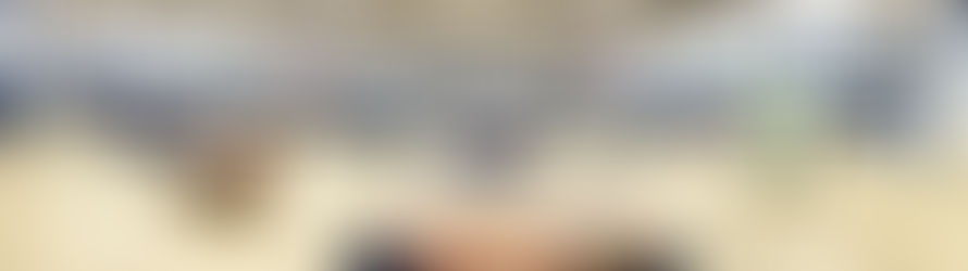 C&S GS Regional Shows 2022