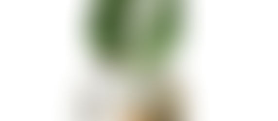 What was BIG last year on CPG?