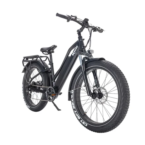 Extreme fat on sale bike