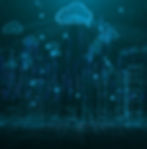 Matrix cyber_square.jpg