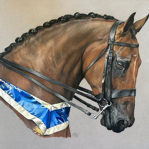 Equine