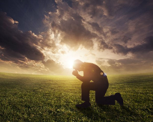 How Can You Learn to Trust God