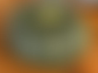 10/12㈯から 「パンプキンパイ」の販売始まります