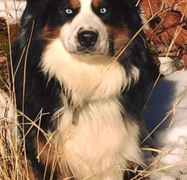 image13.jpeg
