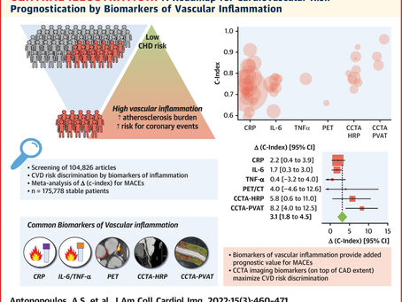 Cardiovascular Risk in Chronic Inflammatory Biomarkers