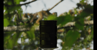 Capture d’écran 2025-07-07 à 13.45.57.png