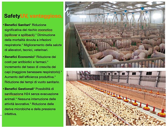 Schermata 2026-01-18 alle 17.33.19.jpg