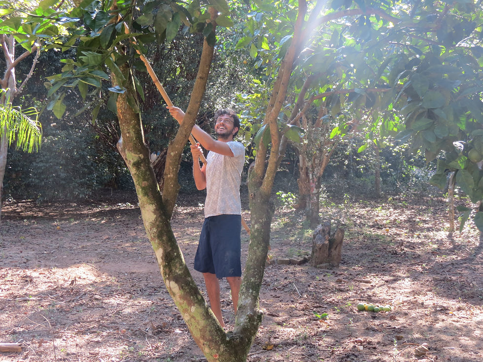 Fazenda Rio Claro