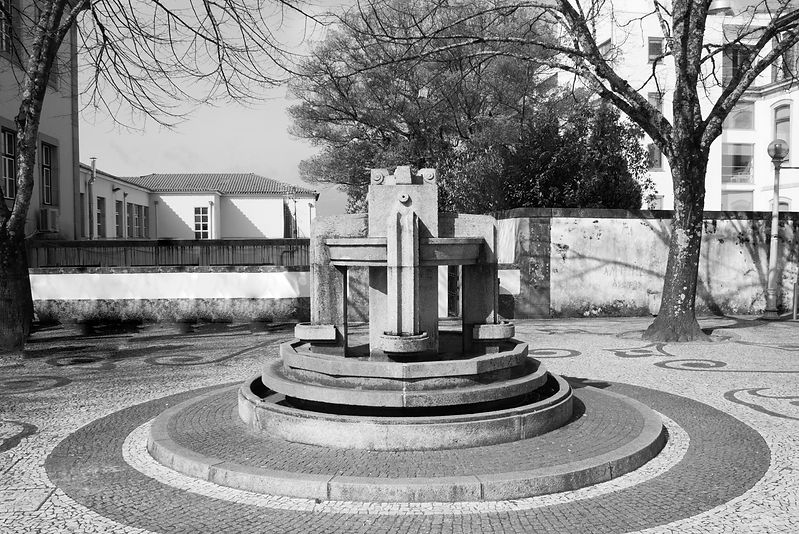 _MG_2081.jpg